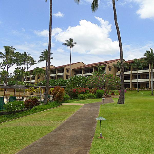A tropical resort with palm trees and a pathway leading to buildings.