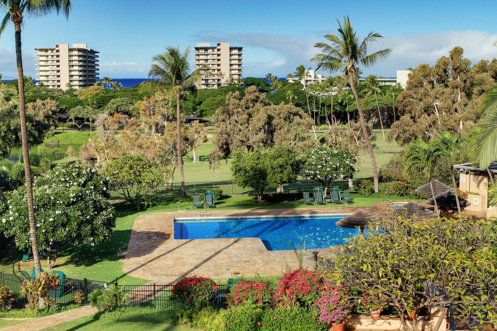A serene pool surrounded by lush greenery and palm trees under a blue sky.