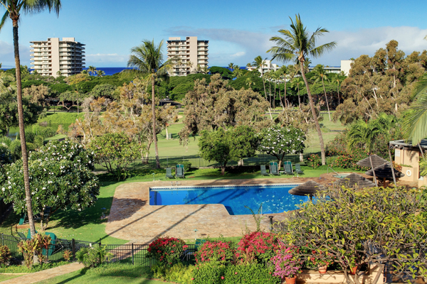 Scenic garden with a blue pool and palm trees under a clear sky.