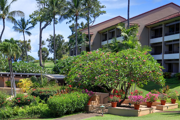 A lush garden with flowering plants and a building in the background.