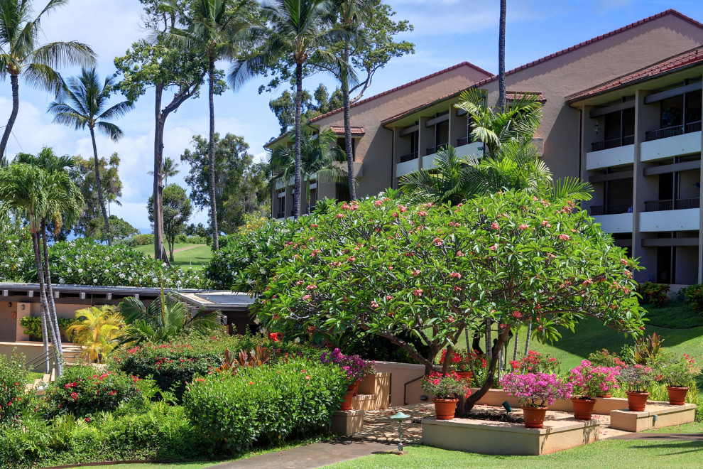 A lush garden with tropical plants and a large house in the background.