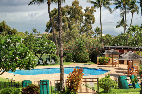 Sunny outdoor swimming pool surrounded by palm trees and greenery.