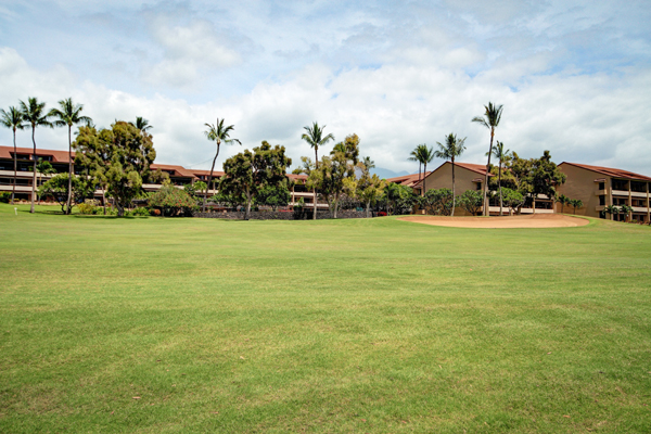 Wide, well-maintained grassy field under a partly cloudy sky with palm trees and houses in the background.