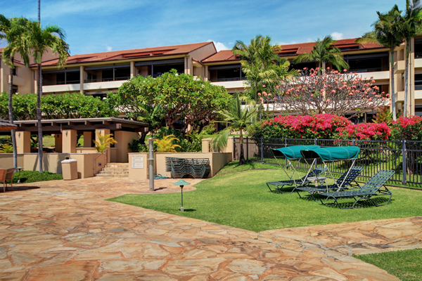 Sunny resort lawn with lounge chairs and tropical plants.