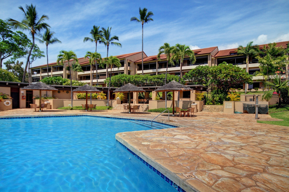 Resort pool area with palm trees and sunny skies.