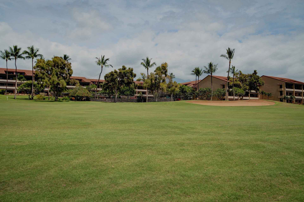 A wide green lawn with palm trees and houses under a cloudy sky.